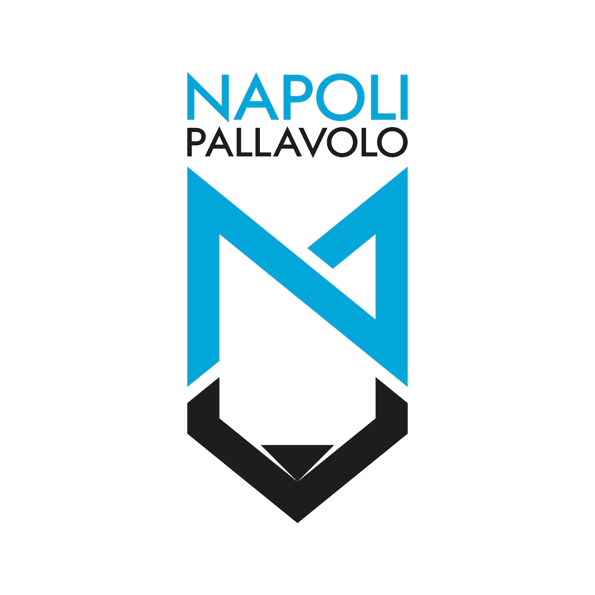 Napoli Pallavolo - Logo