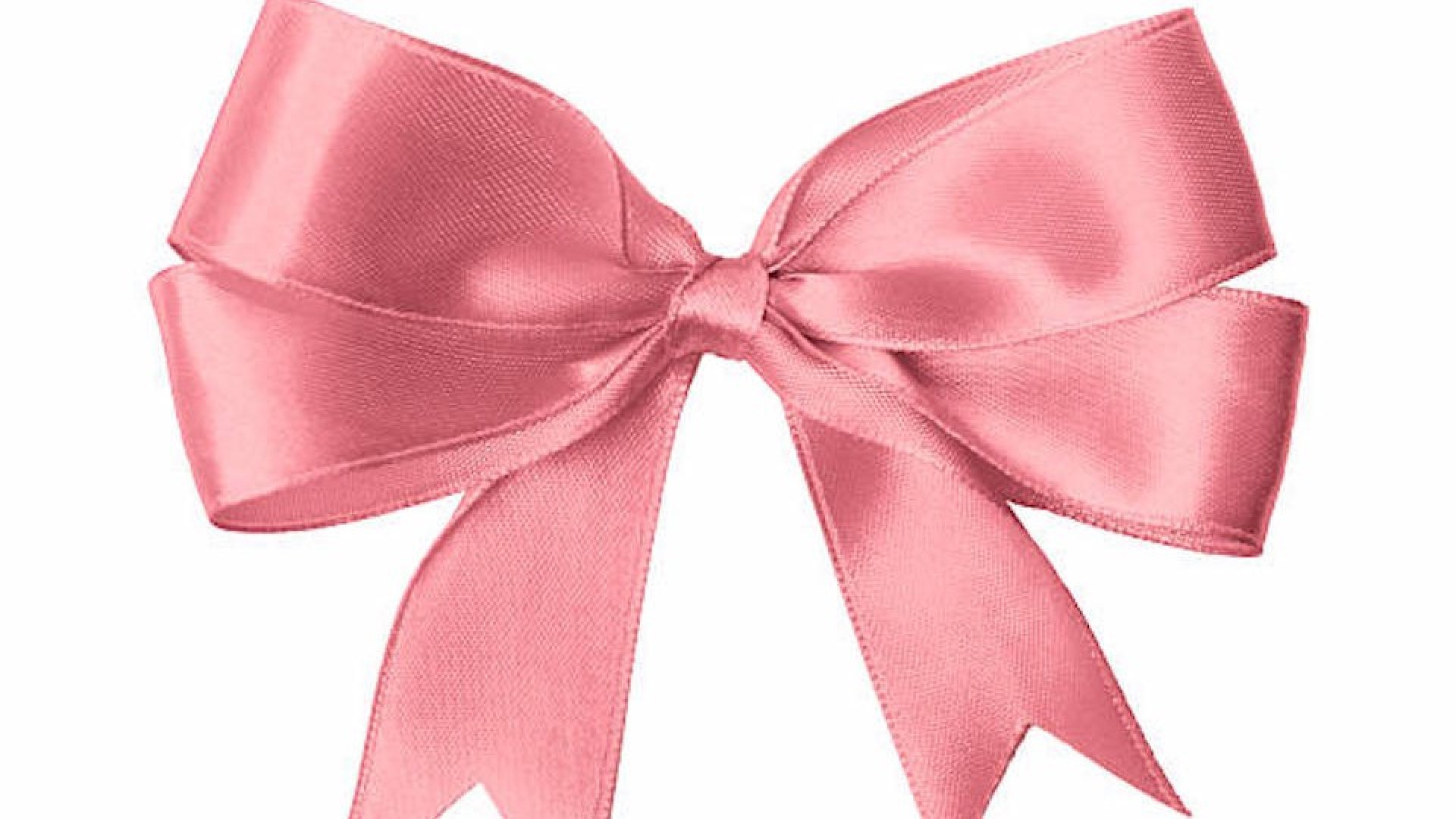 satin roseate Bow isolated on white